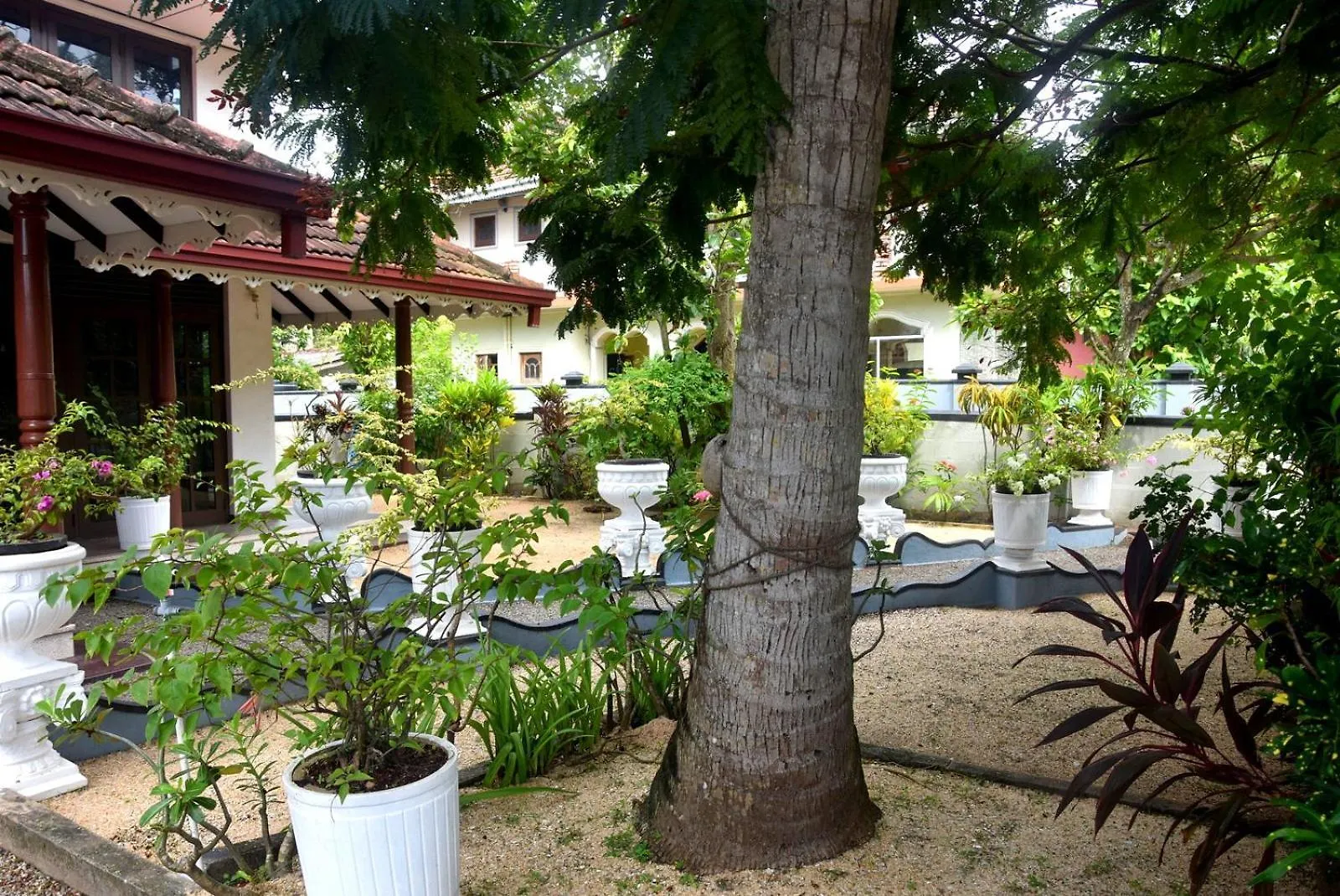 נגומבו Shini Villa