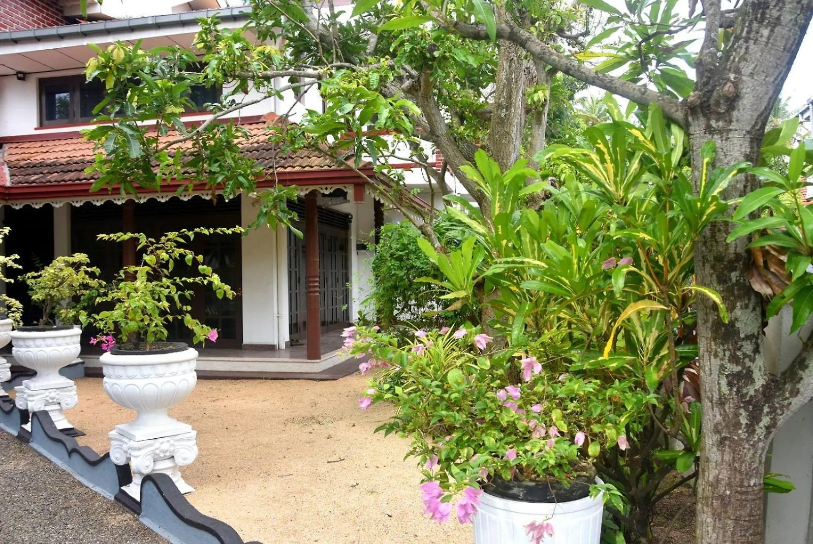 נגומבו Shini Villa