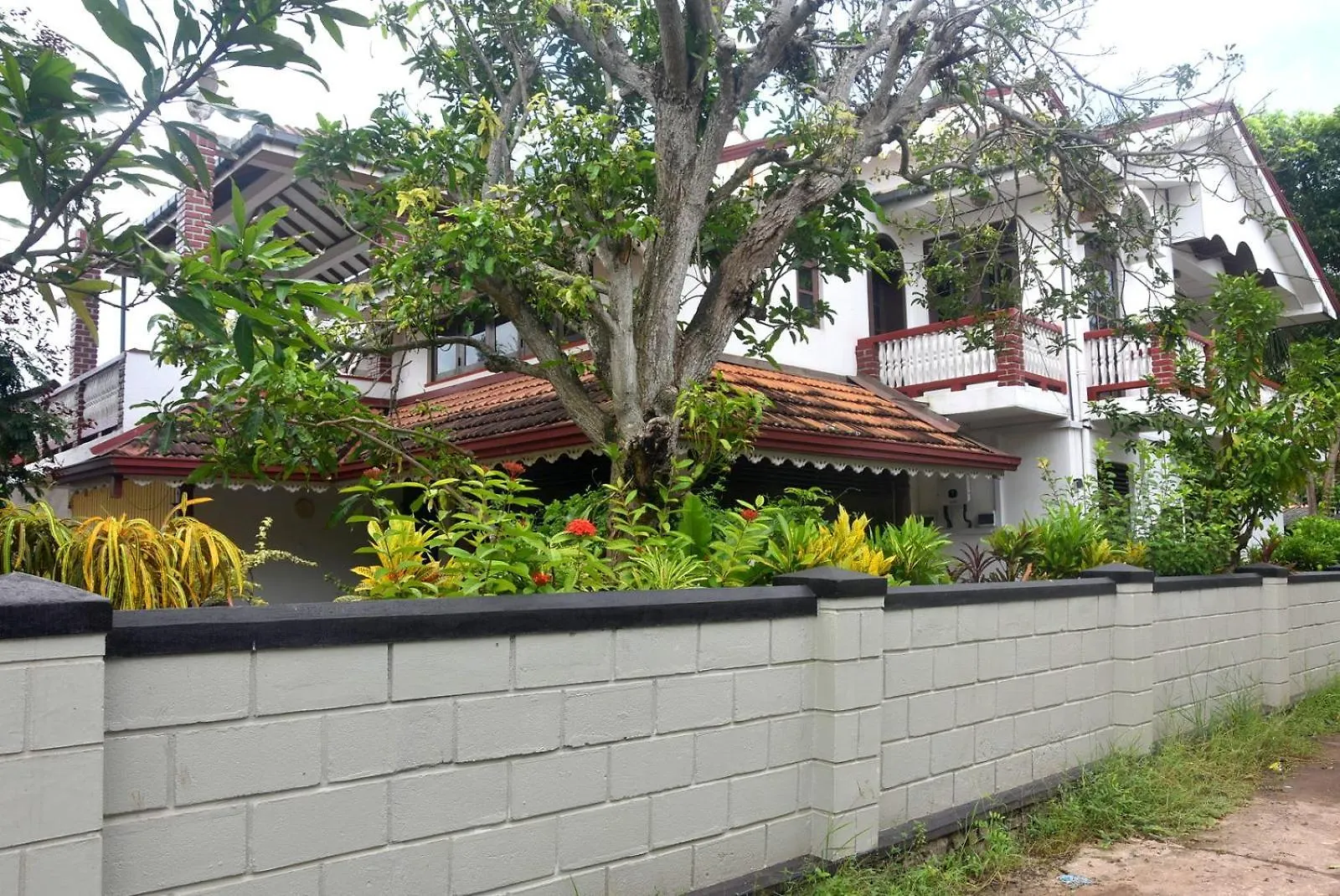 נגומבו Shini Villa סרי לנקה